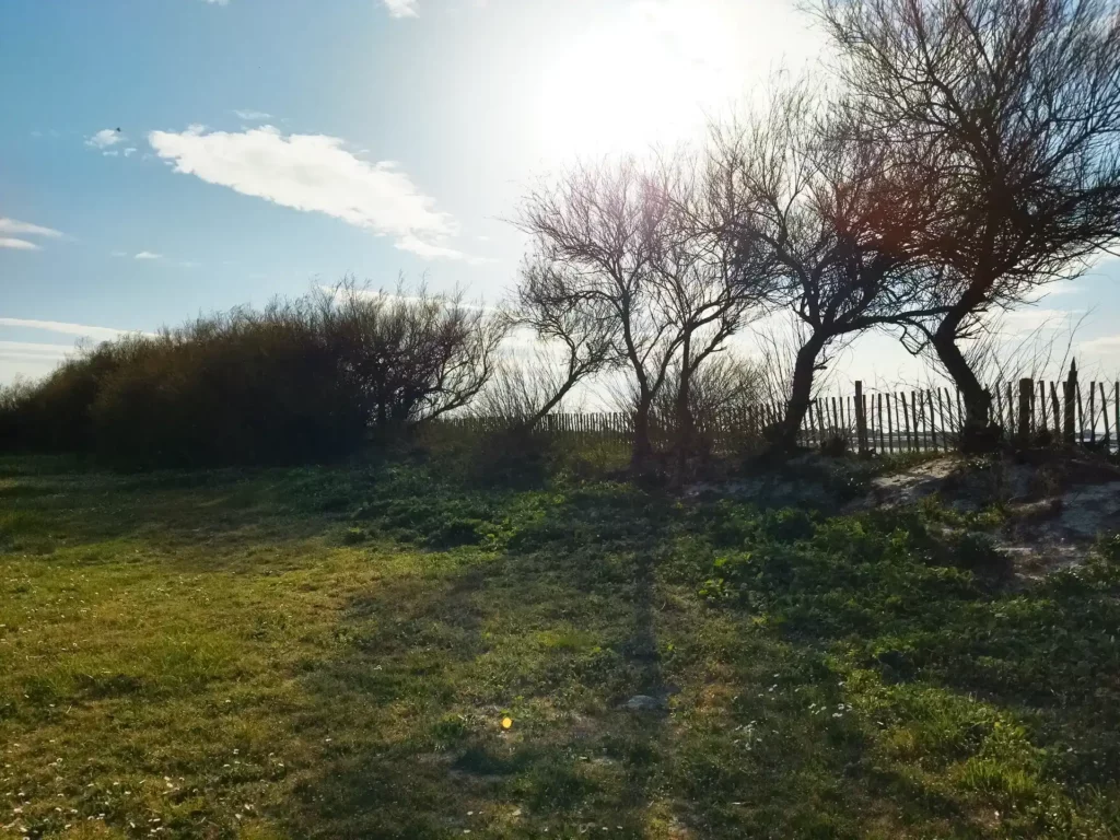 Campervan pitch Finistère